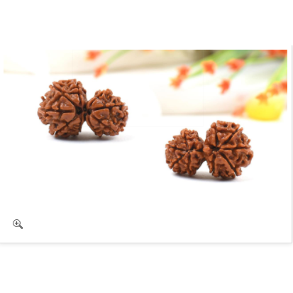 Garbh-Gauri-Rudraksha (Népal) -Loose